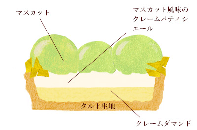 タルトレットマスカット断面図イラスト