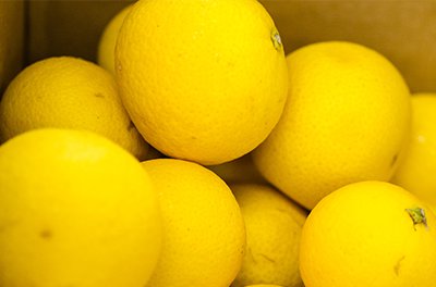 湘南ゴールド果実