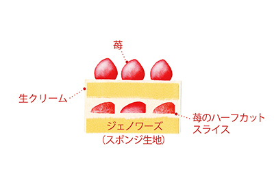 ホワイトノエル4号断面