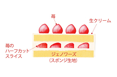 ホワイトノエル5号断面