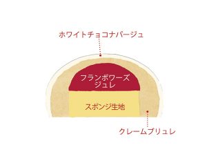 アリュメ断面イラスト