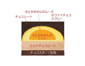 せとか断面イラスト