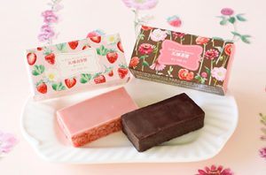 春限定煉瓦イメージ2021